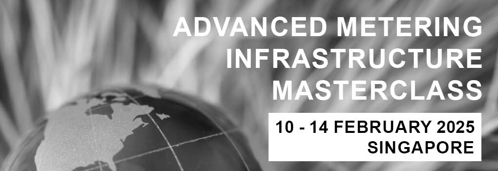 Advanced Metering Infrastructure Masterclass 2025